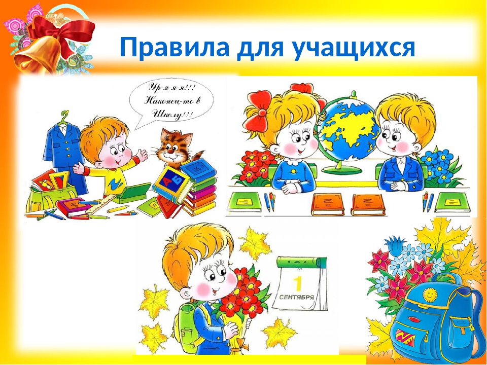 Правила российских школ